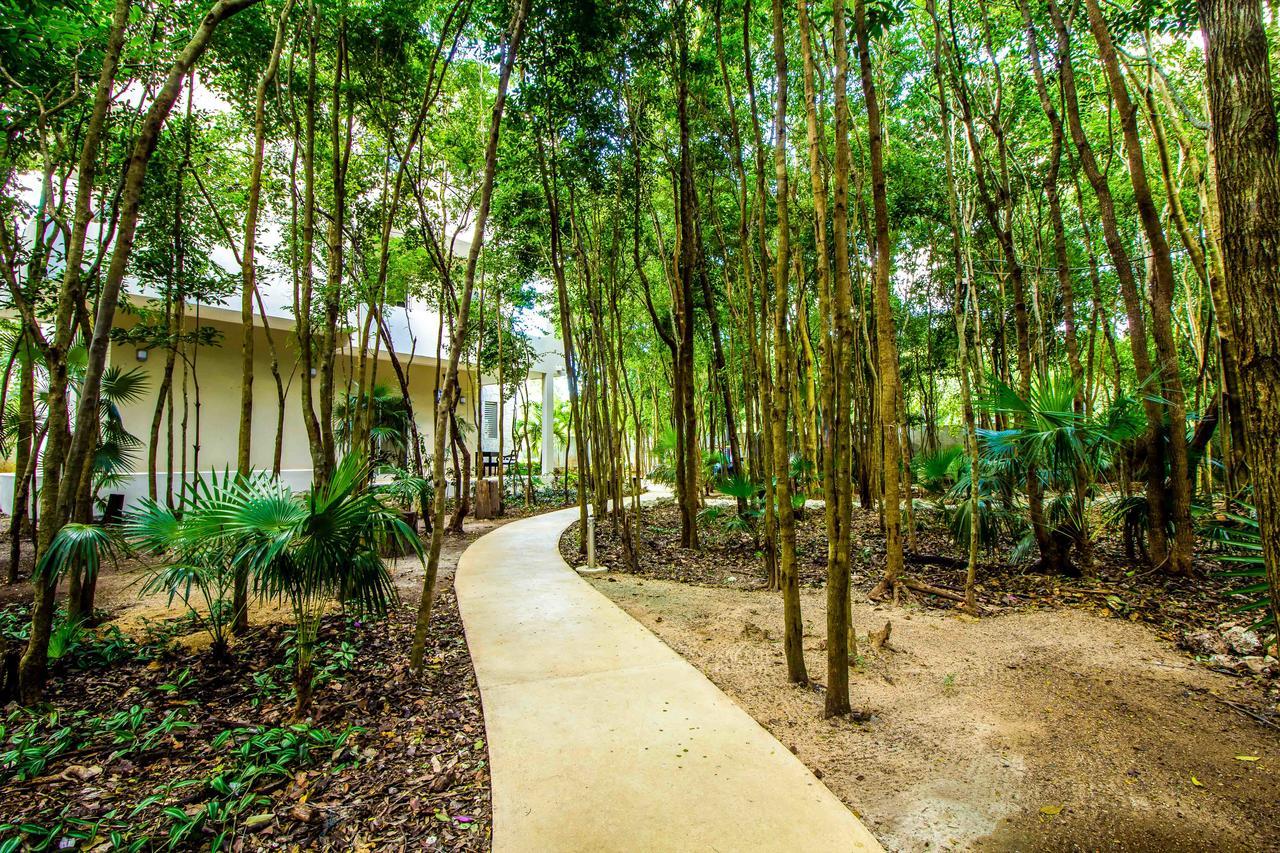 El Vivero Aparthotel 2*