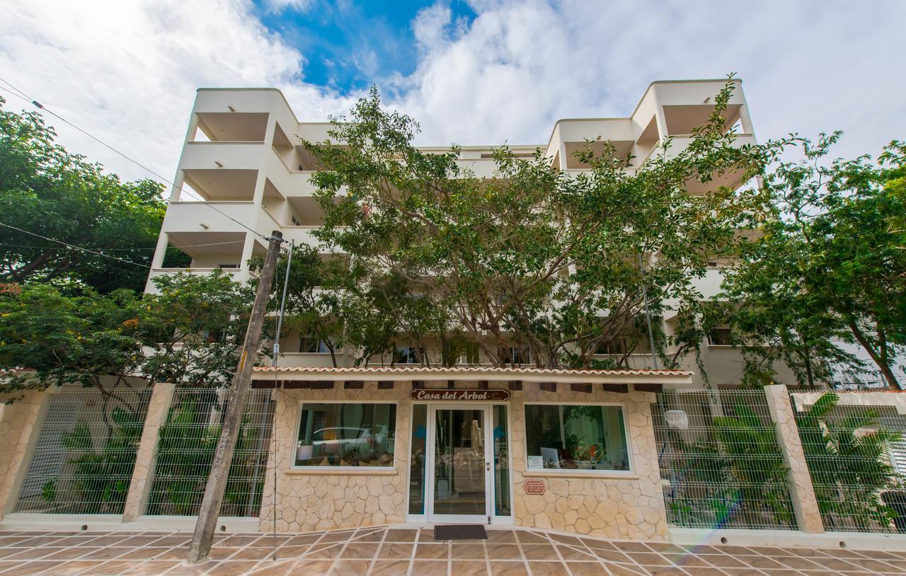 Casa Del Arbol Apartamento *
