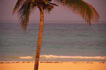 Xaman Ha * Playa del Carmen
