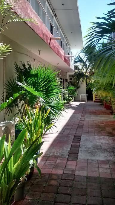 Olmeca Homestay