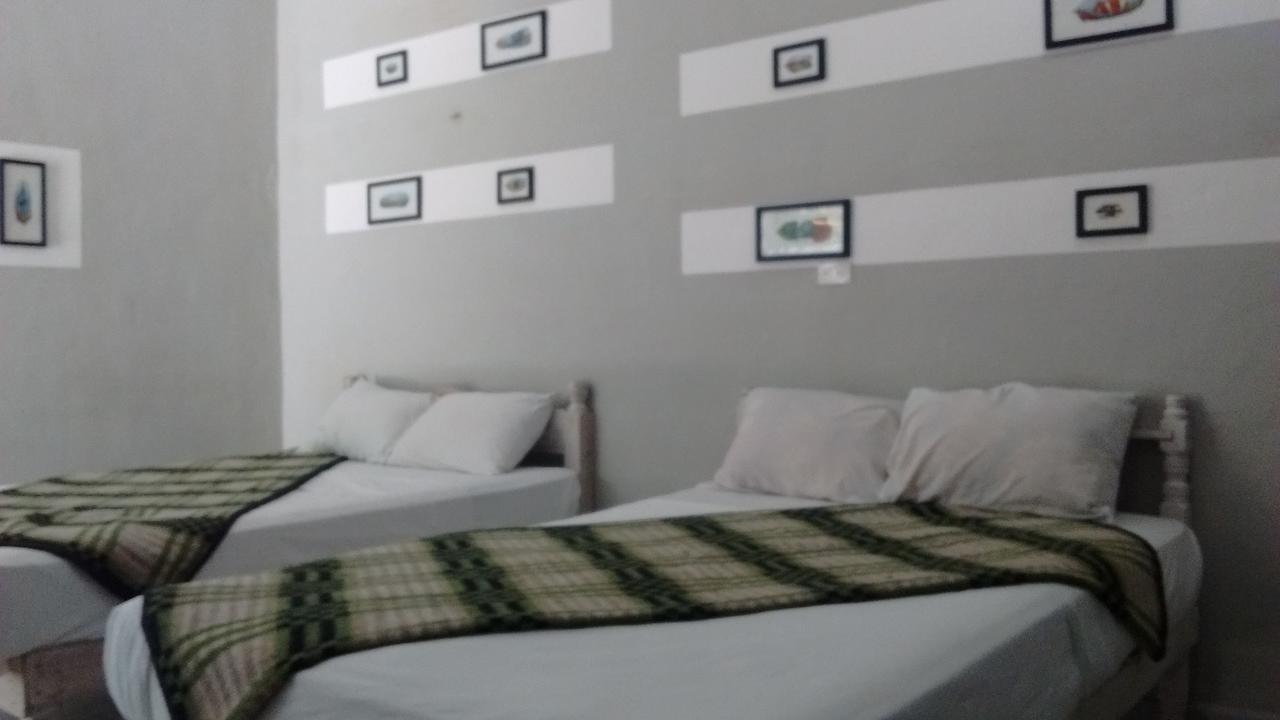 Homestay Olmeca *