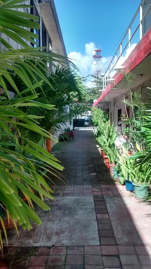 Olmeca Homestay