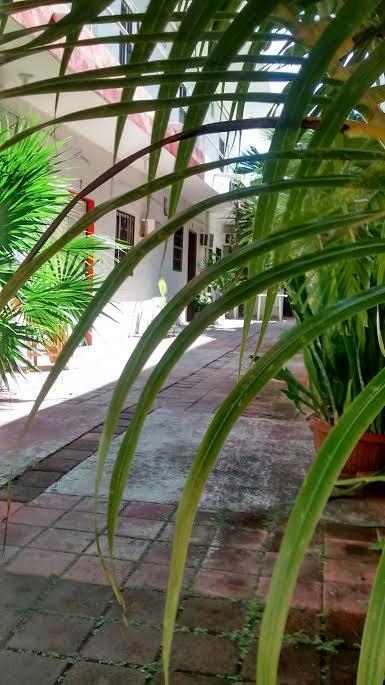 Olmeca Homestay Playa del Carmen