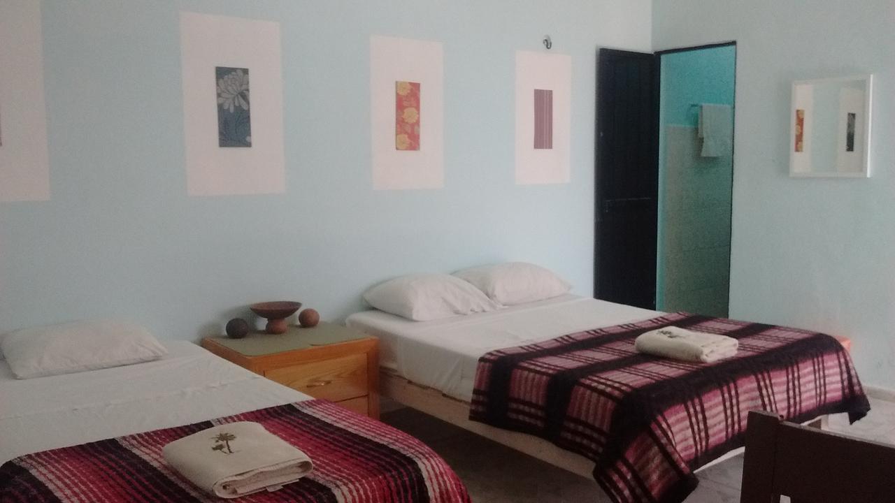 Homestay Olmeca