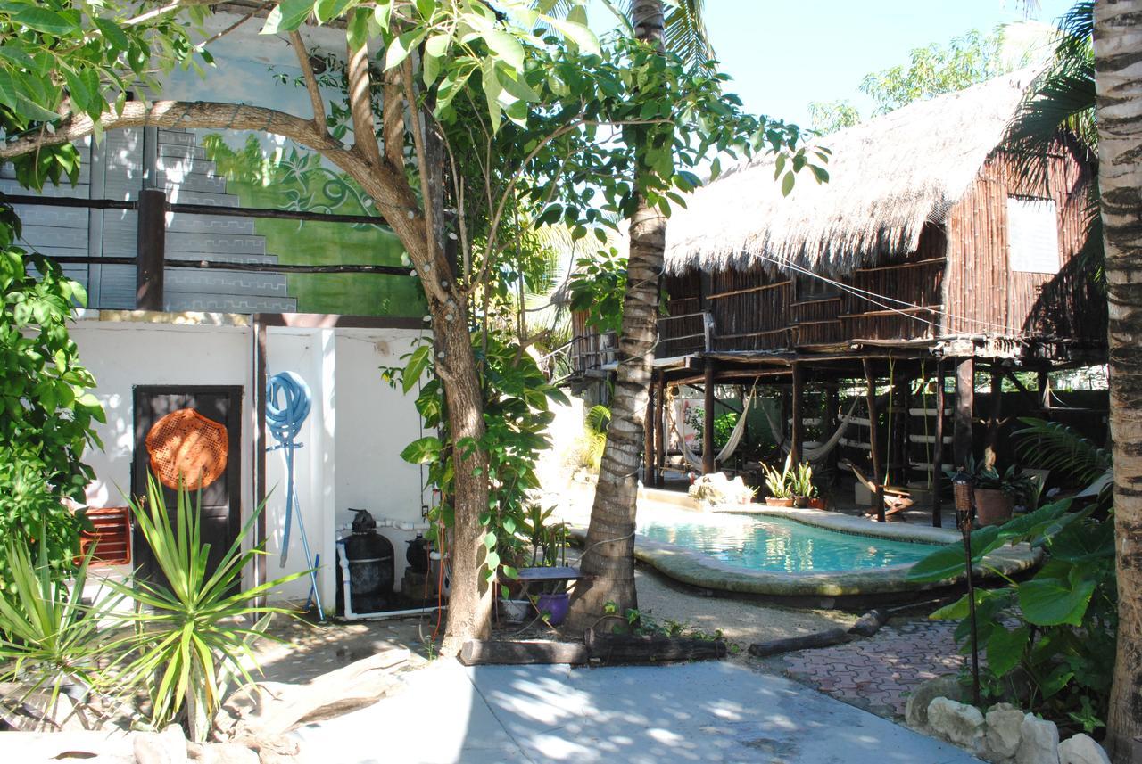 Lobo Inn Tulum Hostel Tulum