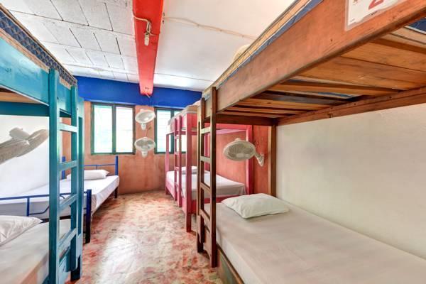 Playa Hostel