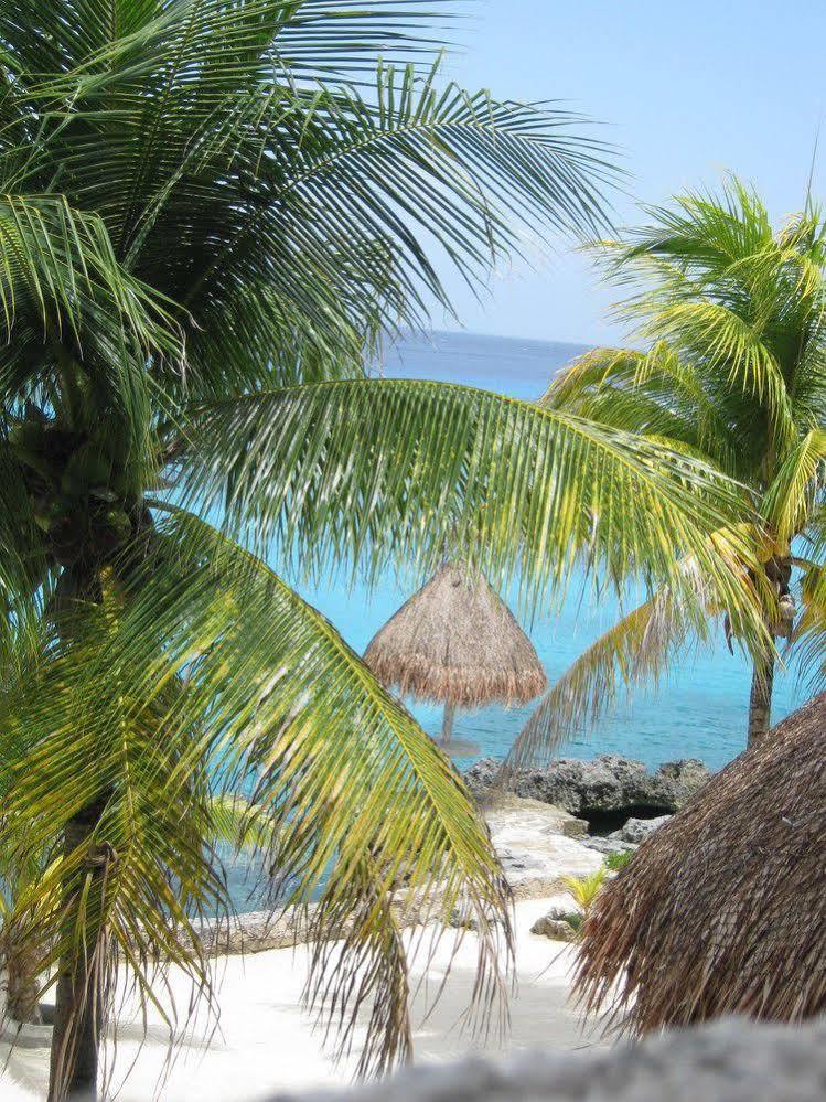 Condumel 3* Cozumel