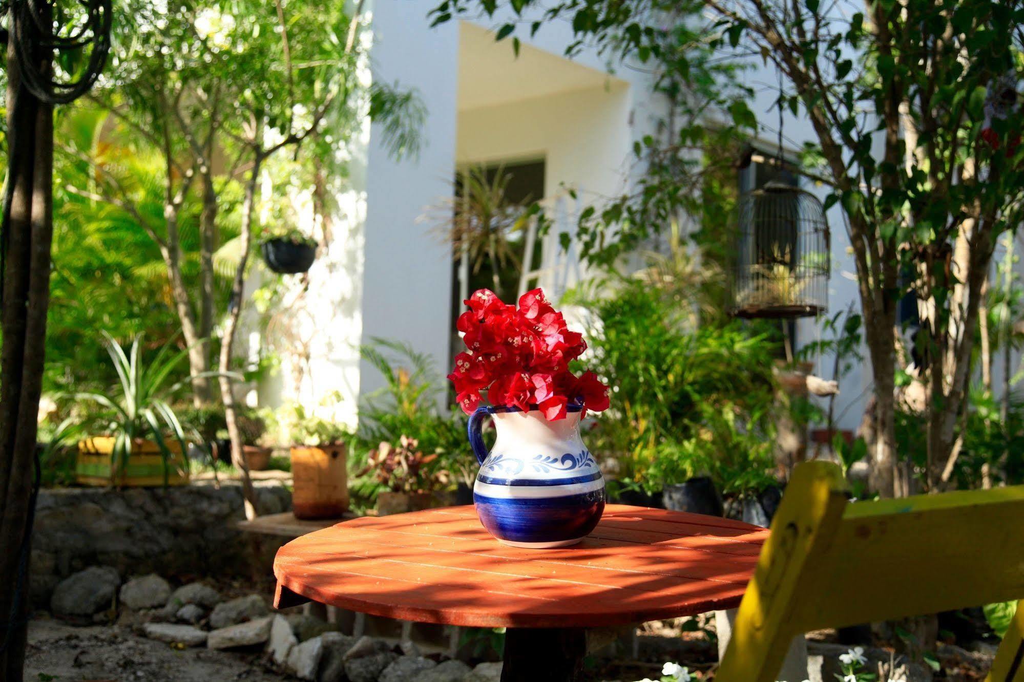 Casa Chachalaca Apartment