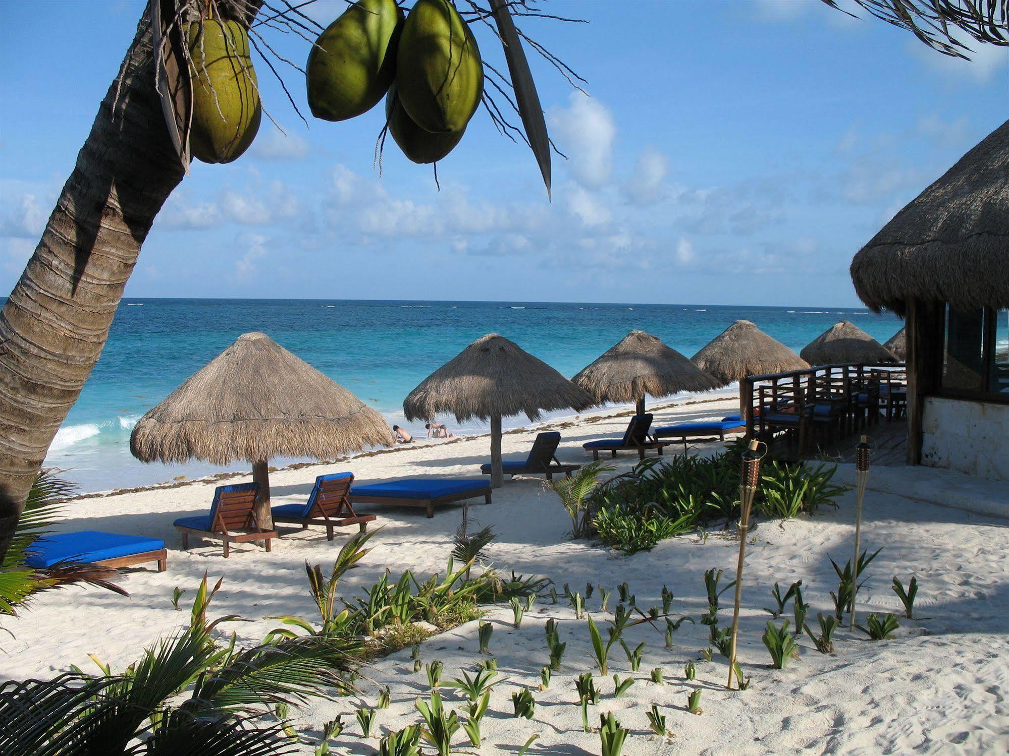 Sol Caribe