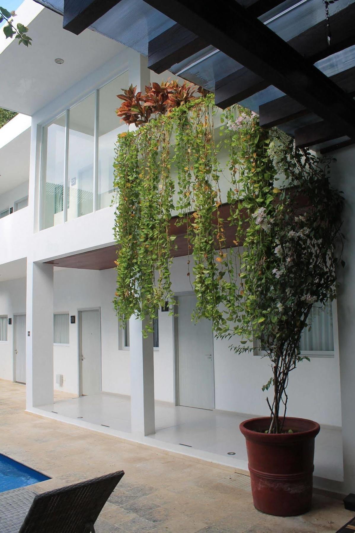 Hotel Casa Martin