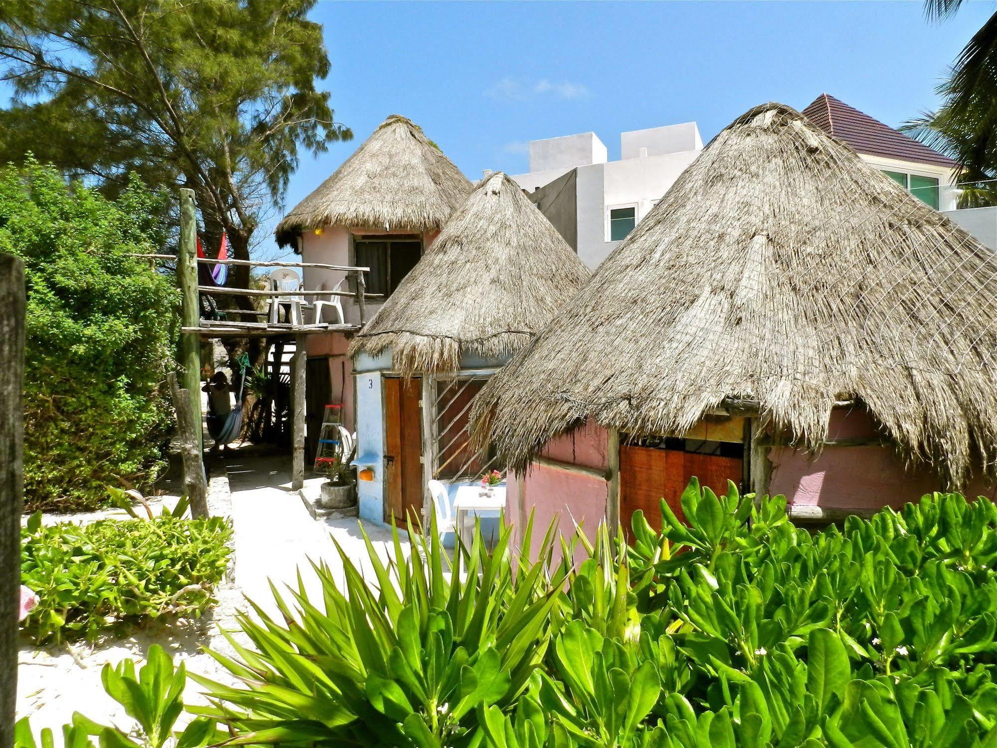 Acamaya Reef Hotel
