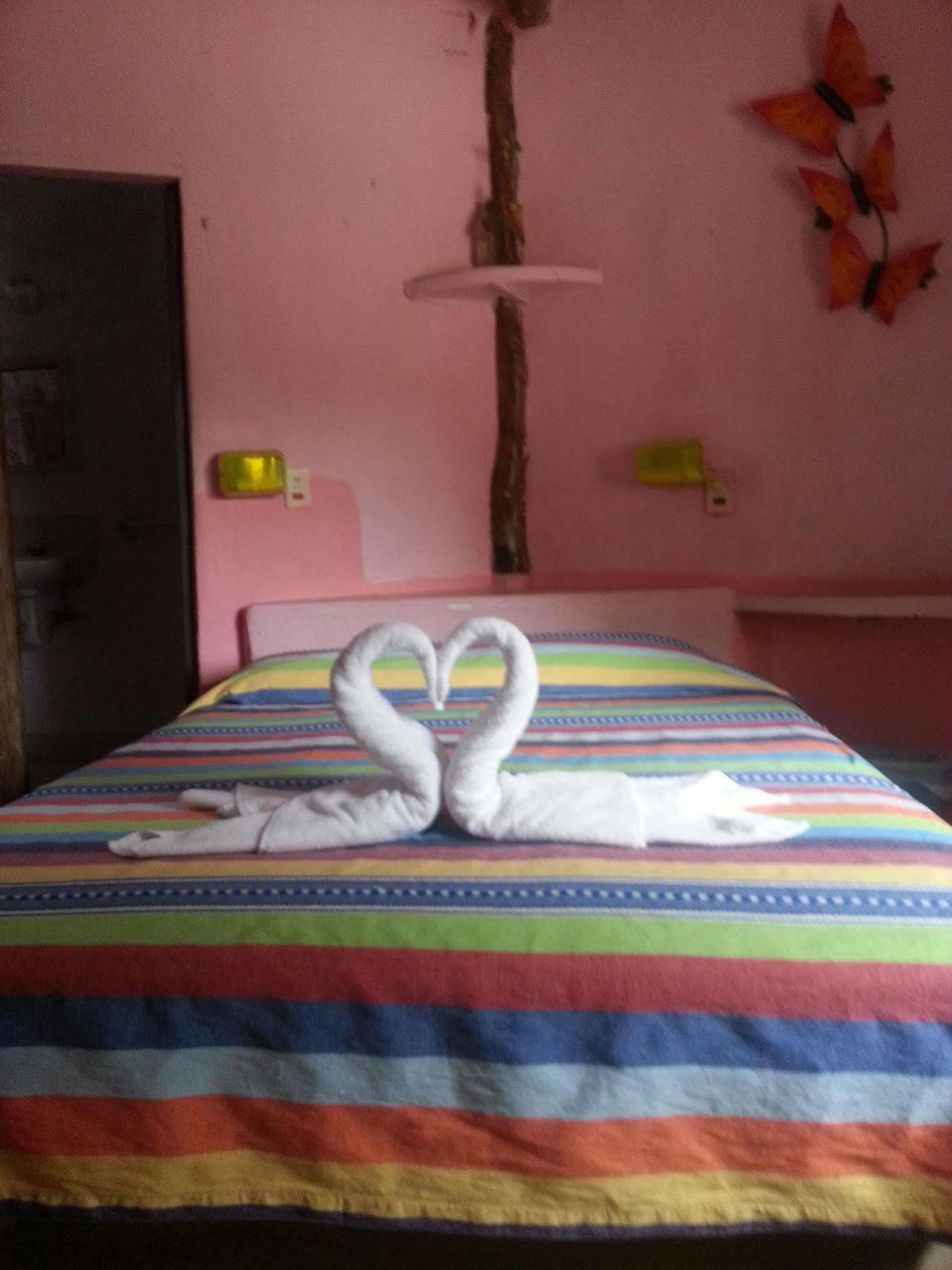 Hotel Acamaya Reef