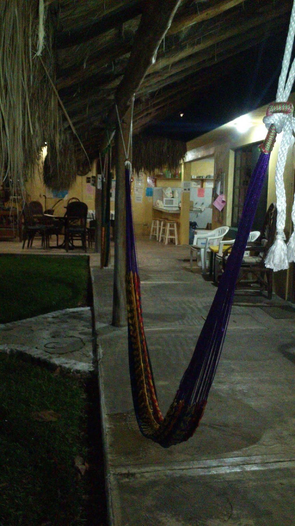 Albergue Amigos