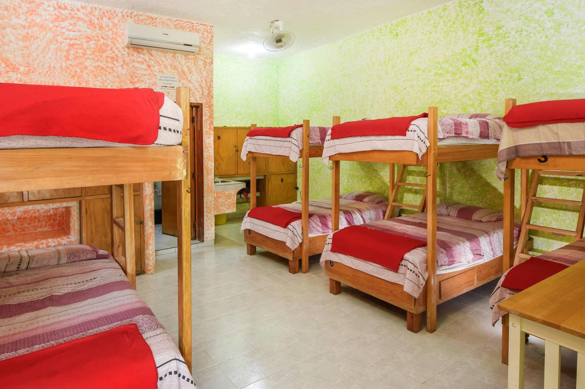 Albergue Amigos