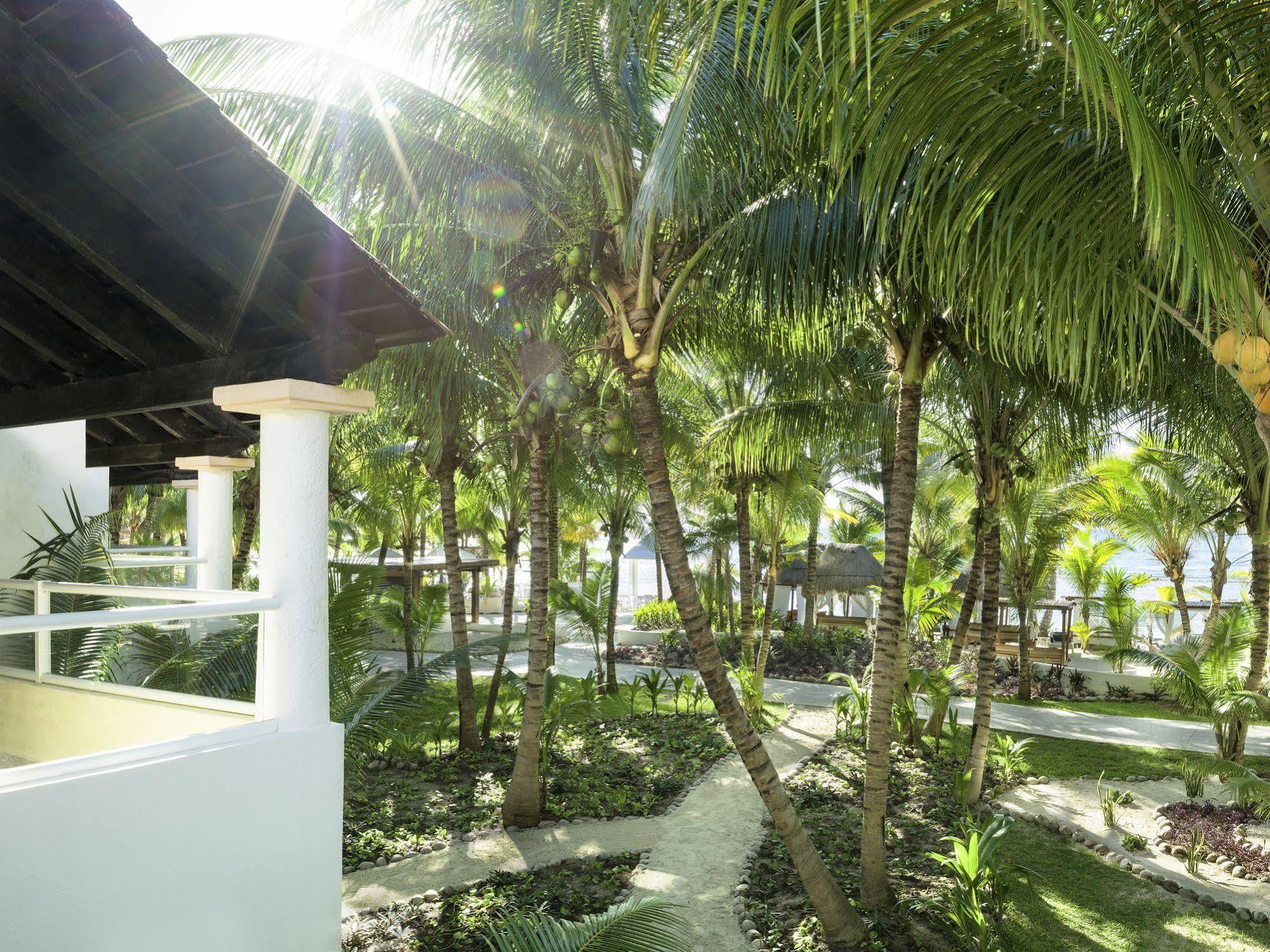 El Dorado Seaside Palms Adults Only Hotel 4*