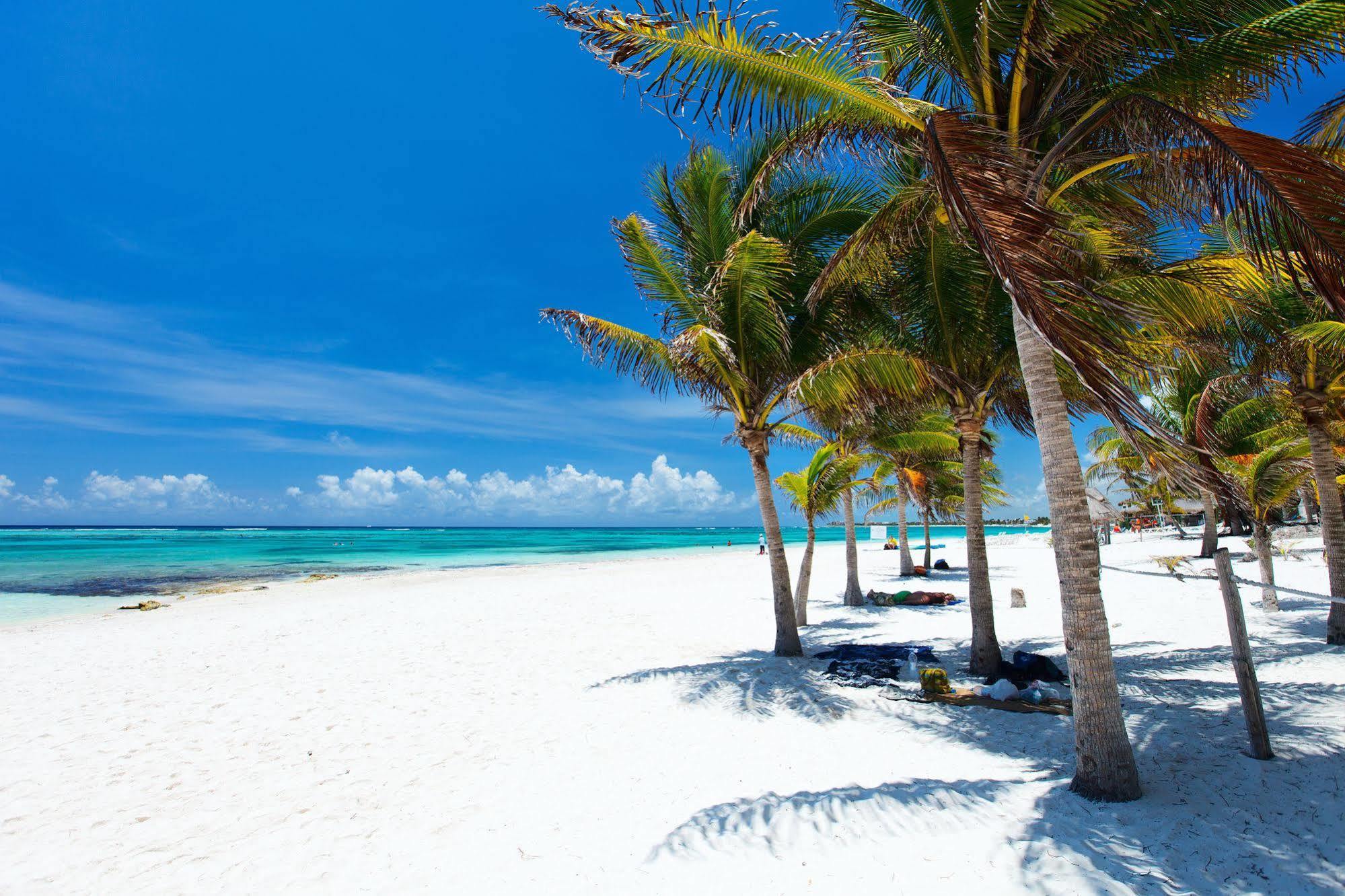 Natura Glamping 3* Akumal