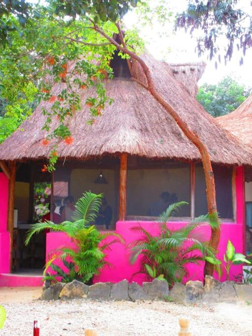 Lodge Pueblito Selva *