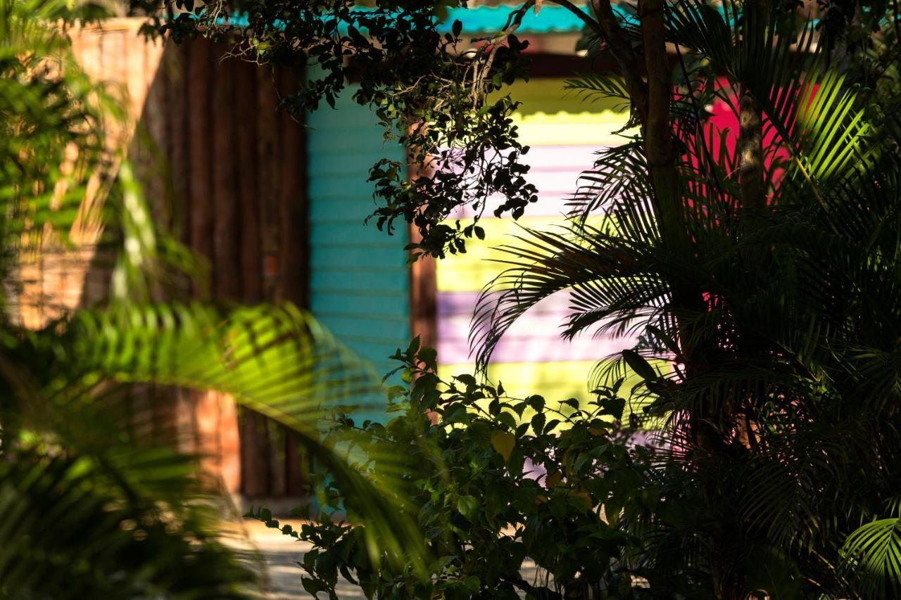 Pueblito Selva Lodge