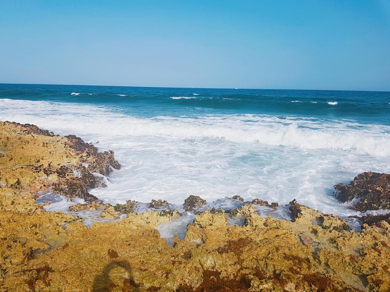 Bed & Breakfast Susana Beach Front House