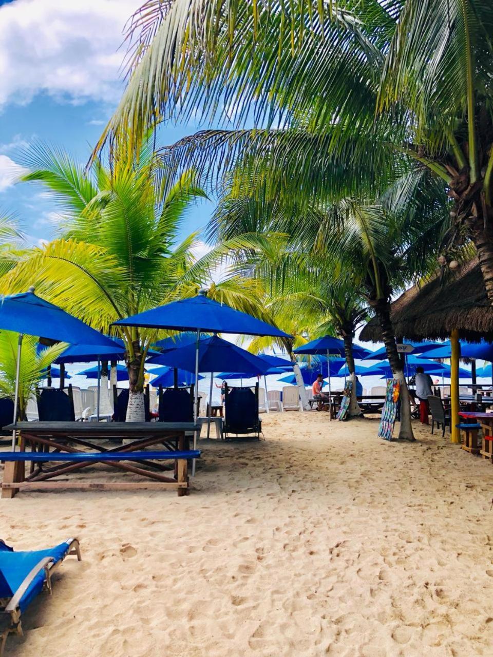 Ocean Beach V.i.p Cozumel