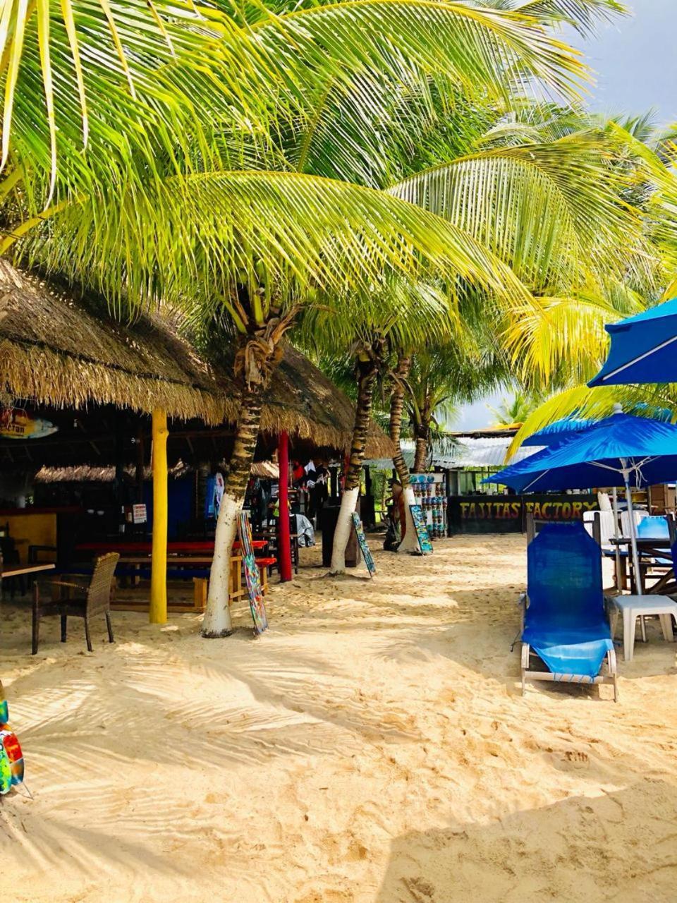 Ocean Beach V.i.p *