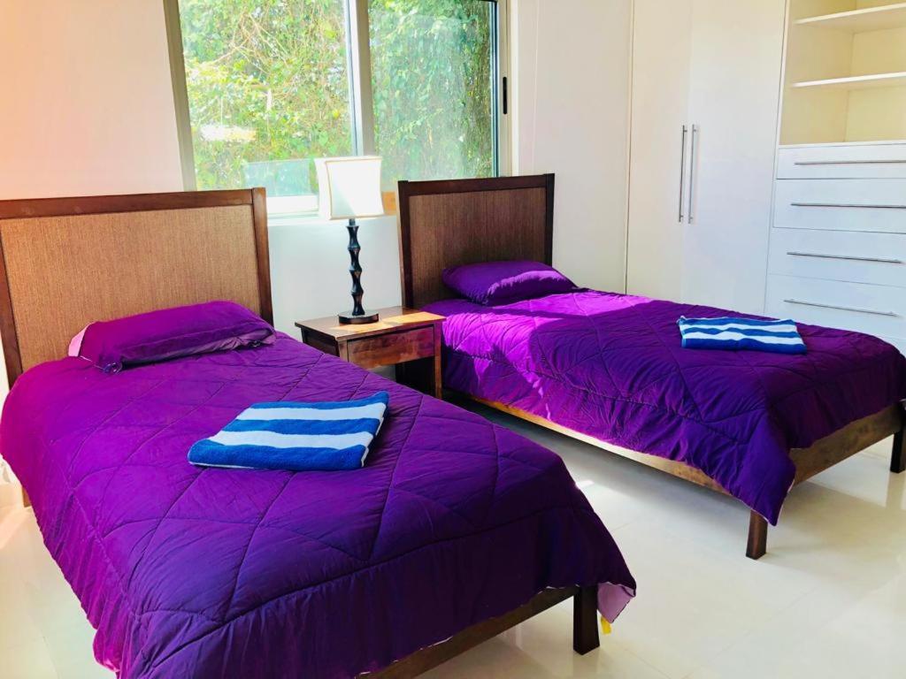 Ocean Beach V.i.p Apartment