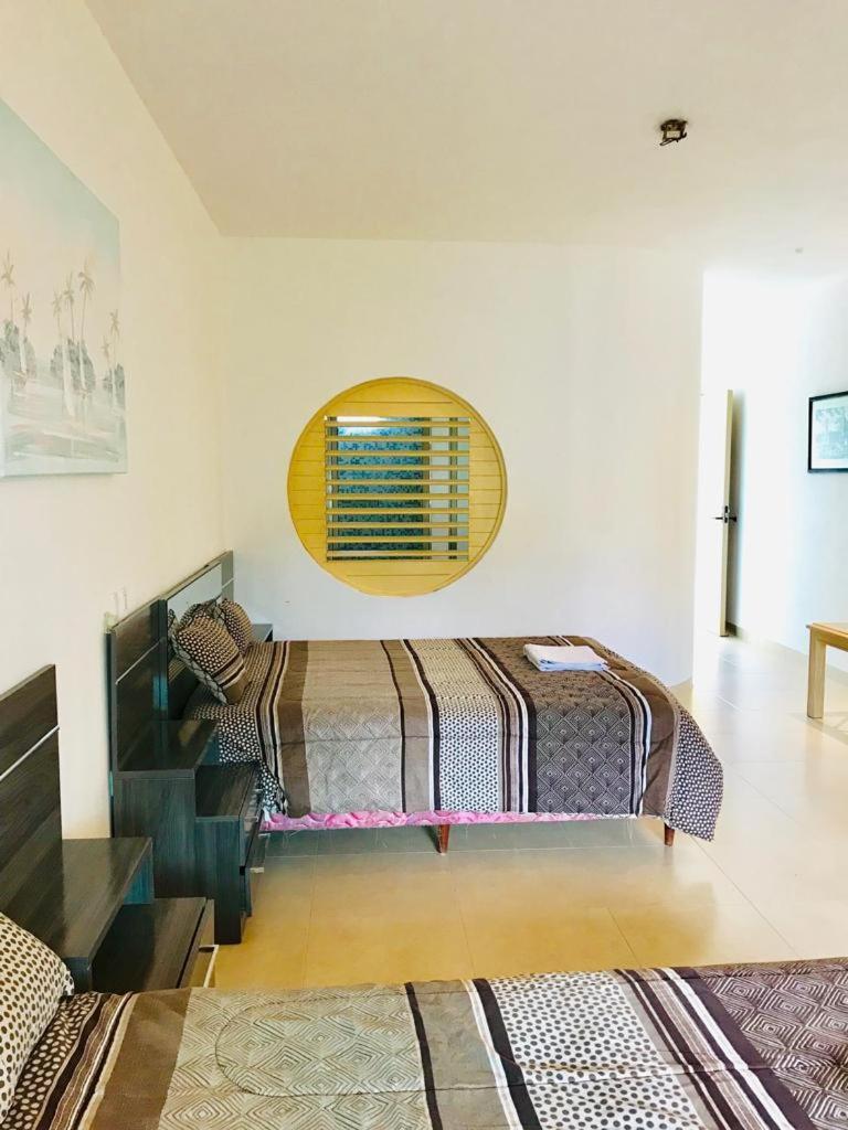 Ocean Beach V.i.p Apartment