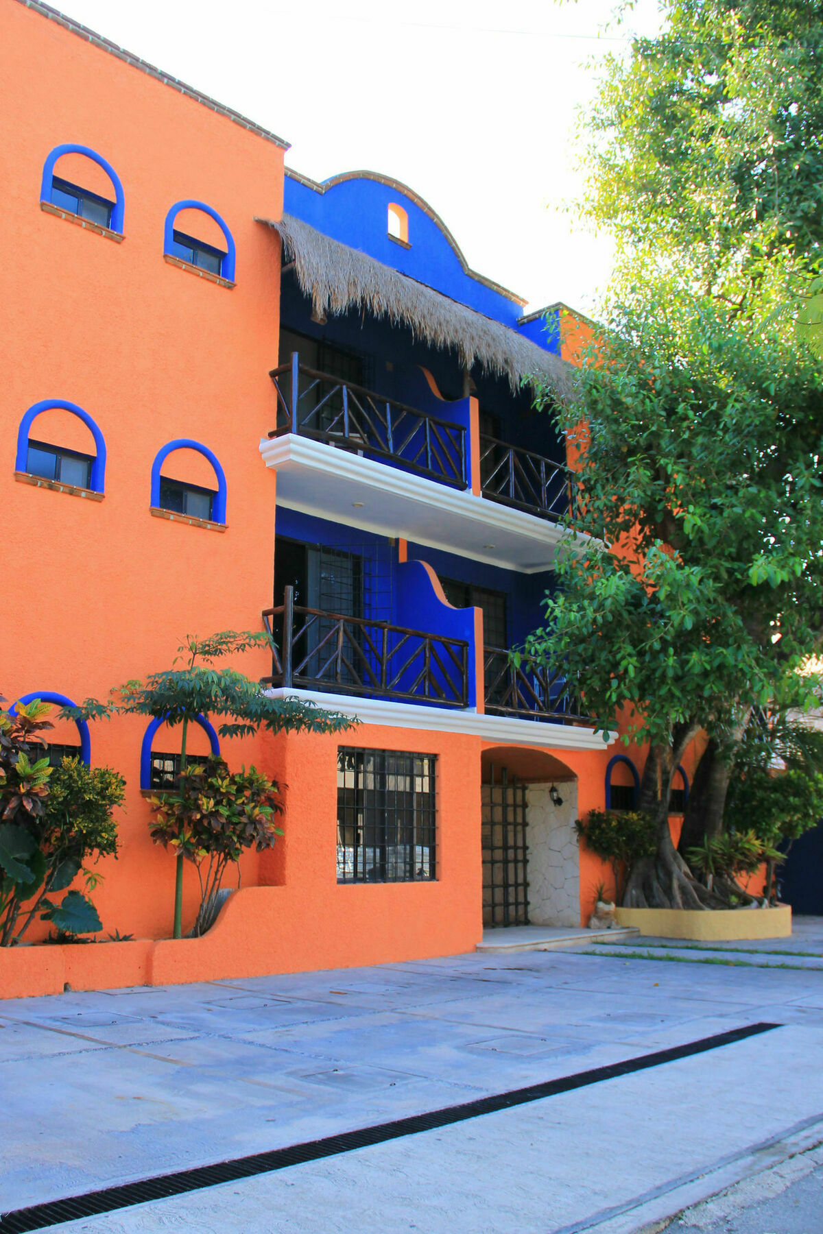 Vida Playa Suites