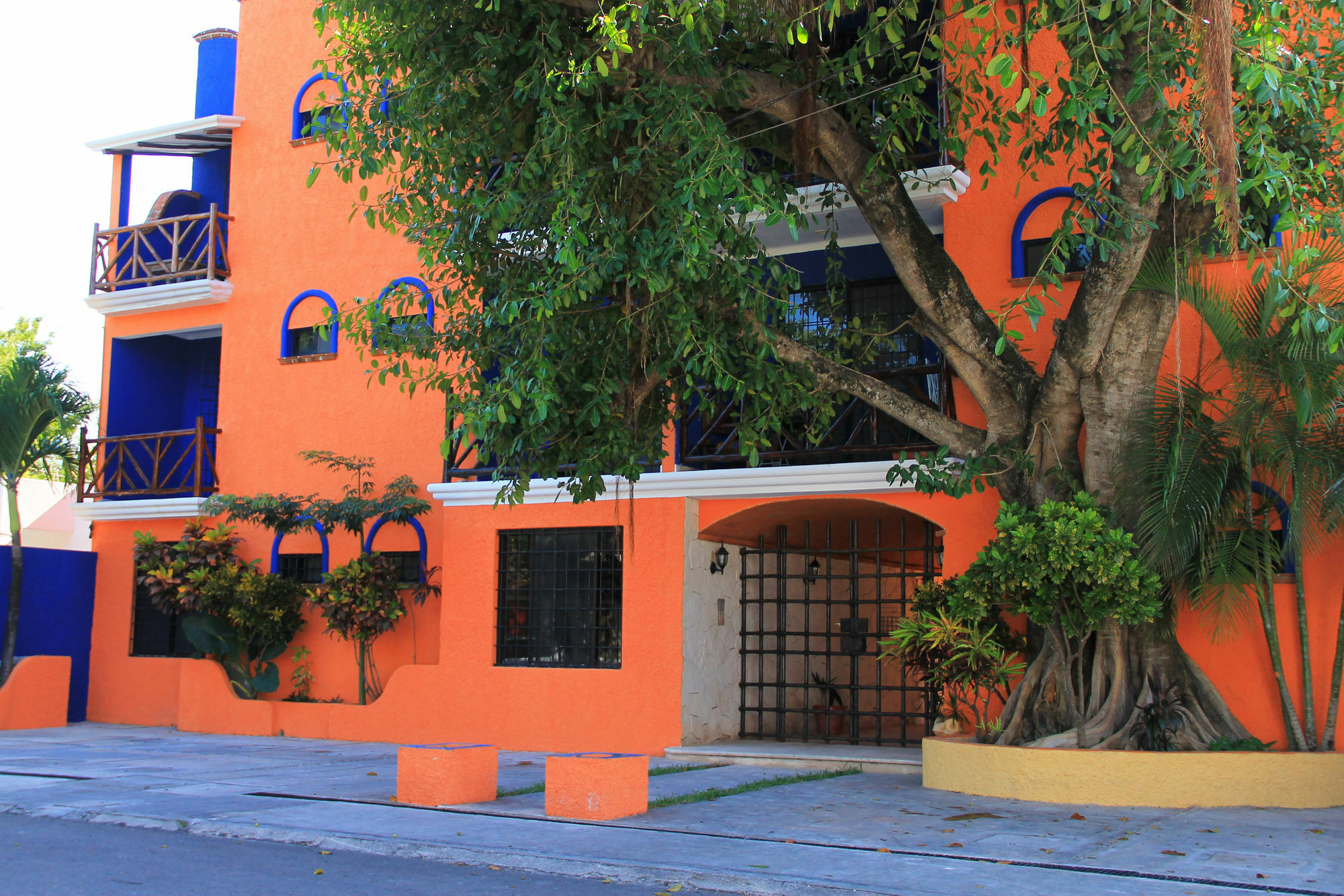 Vida Playa Suites