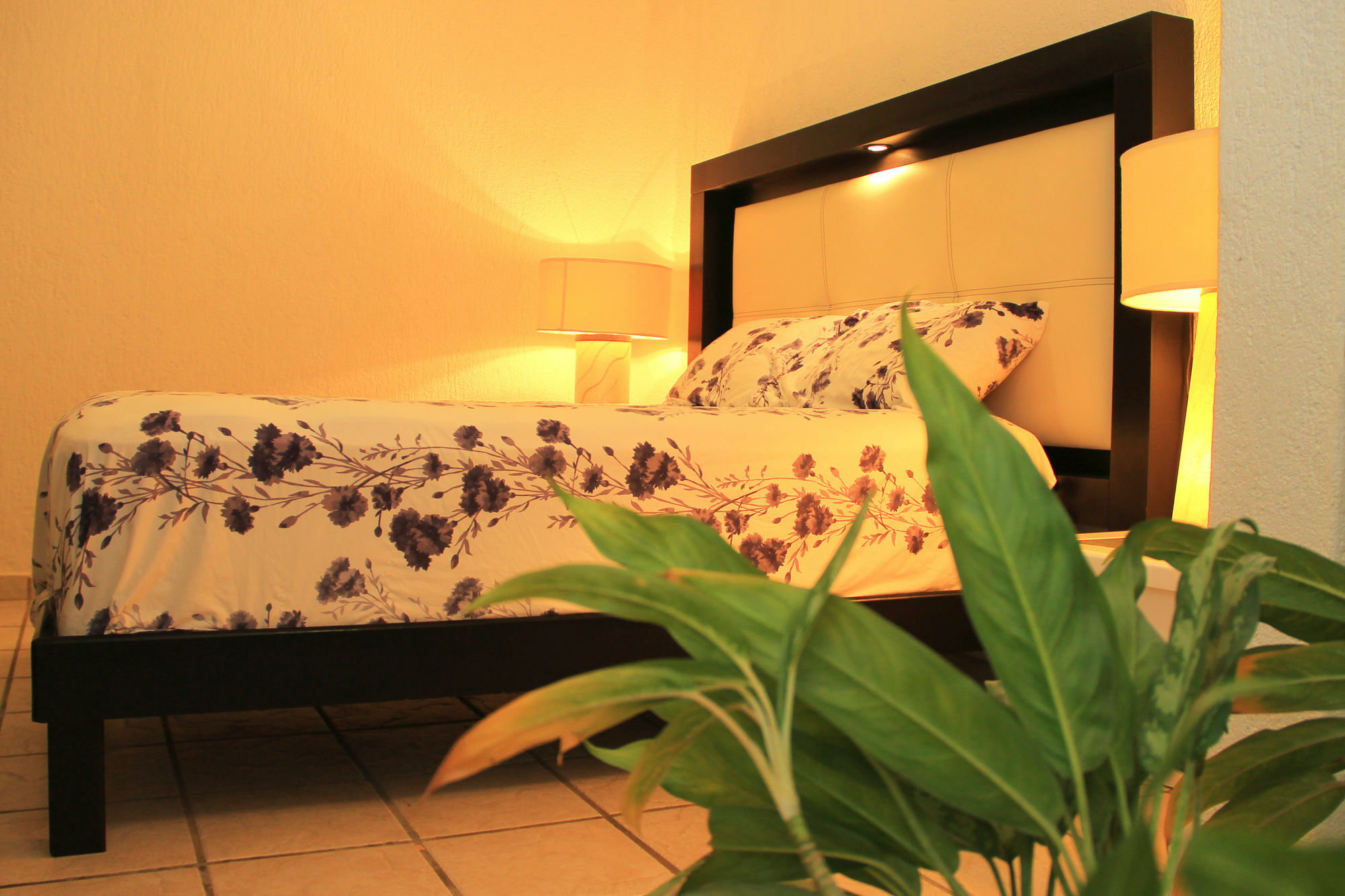Vida Playa Suites Aparthotel 3*