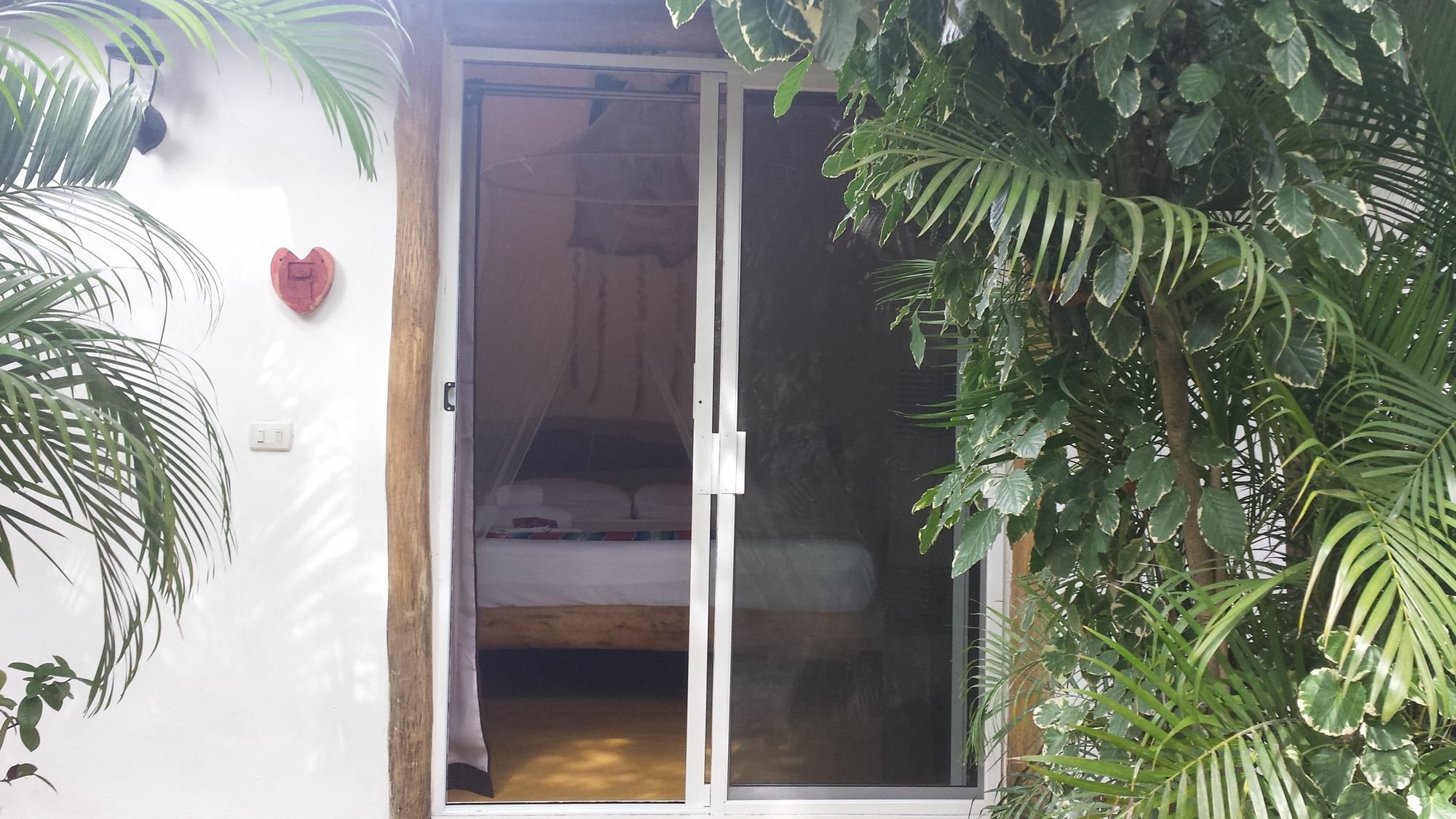 Hotel Pacha Boutique