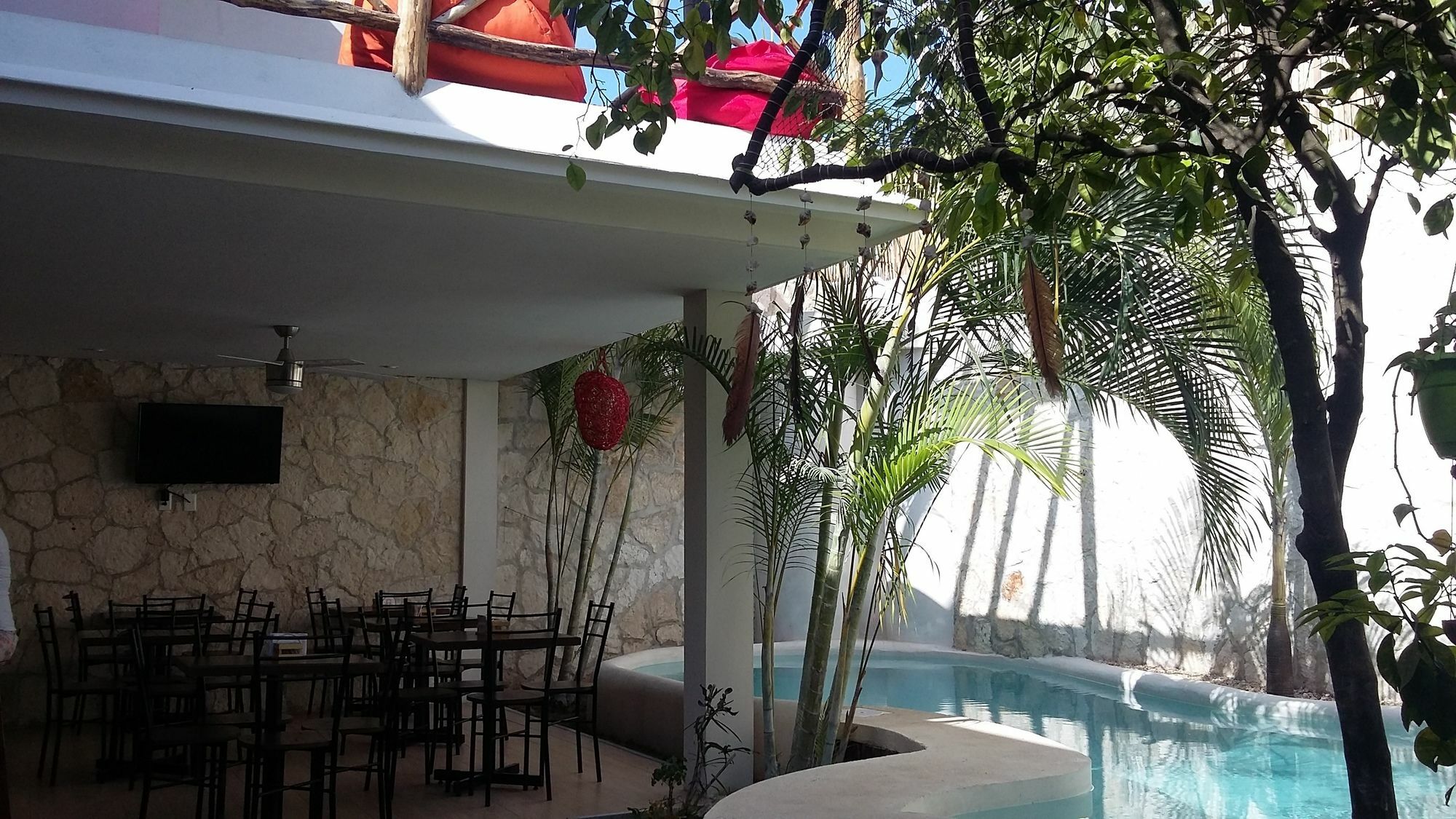 Pacha Boutique Hotel 4*
