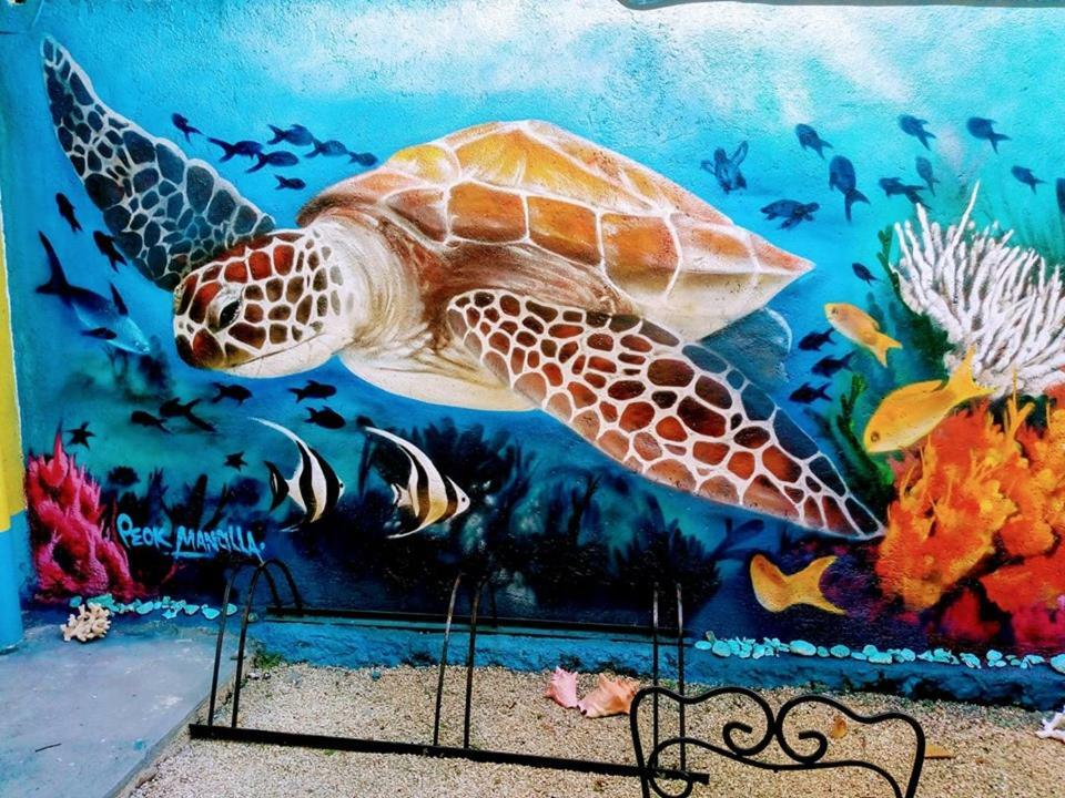 Bed & Breakfast Maya Vacanze Playa Aventura 2*