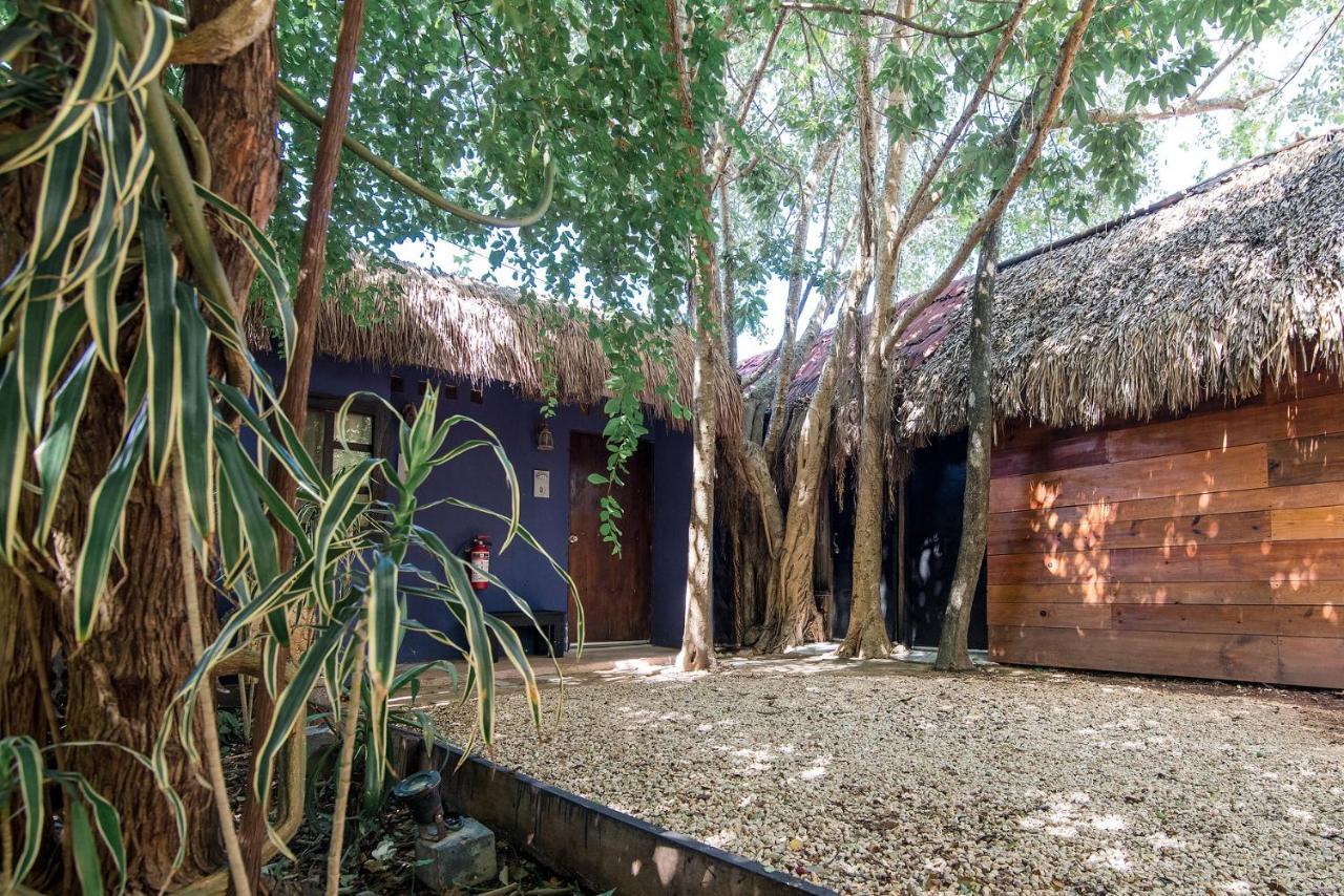 Hostel El Punto Hostel *