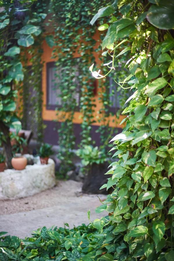 Secret Garden 3* Tulum