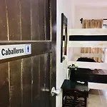 Bunk Bed In Female Dormitory Room