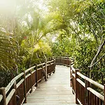 Resort Vidanta Riviera Maya