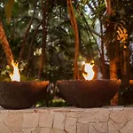 Hotel Las Palapas By Mahekal