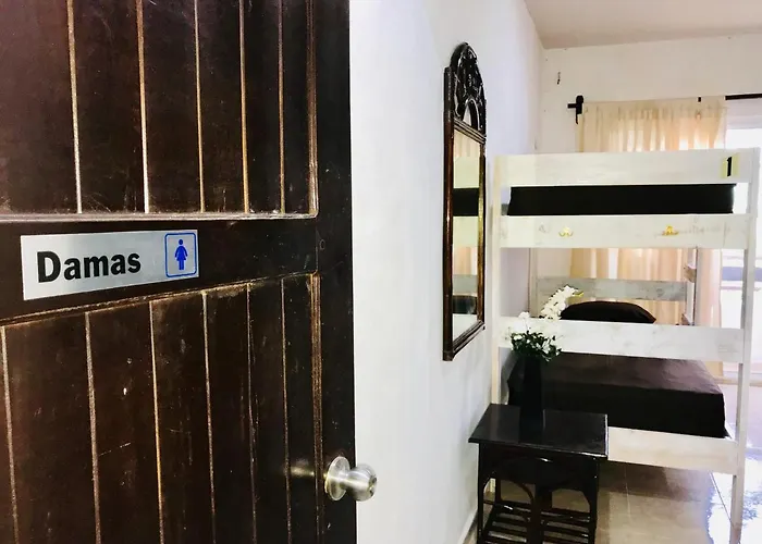 Bunk Bed In Female Dormitory Room