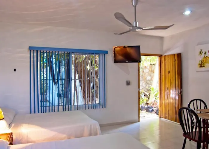 The Jungle Beach Playa Del Carmen
