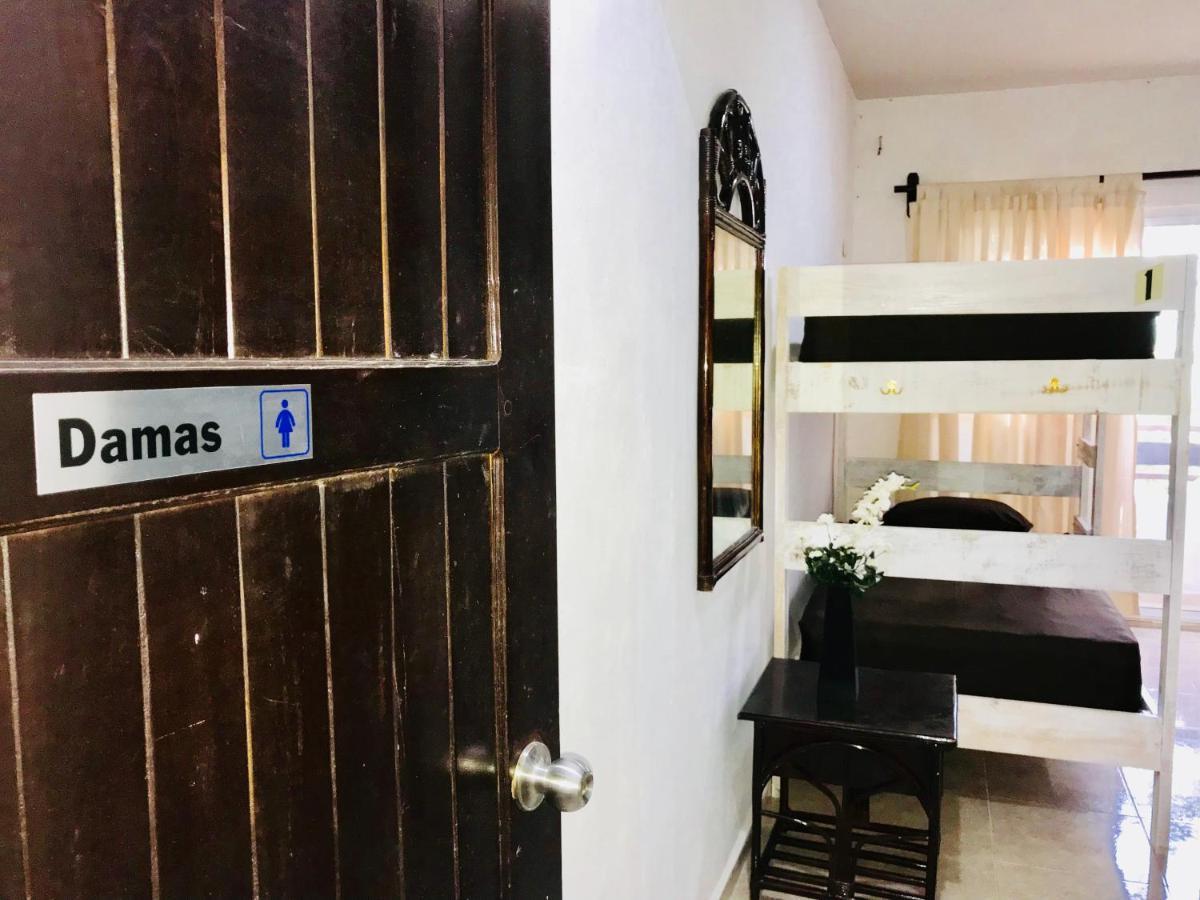 Guest house Bunk Bed In Female
