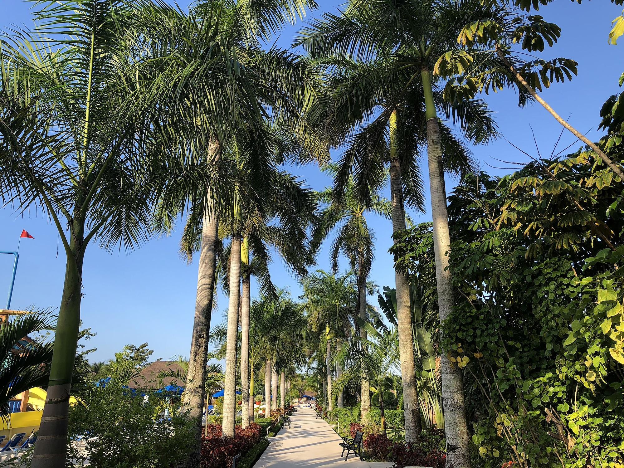 Allegro Cozumel