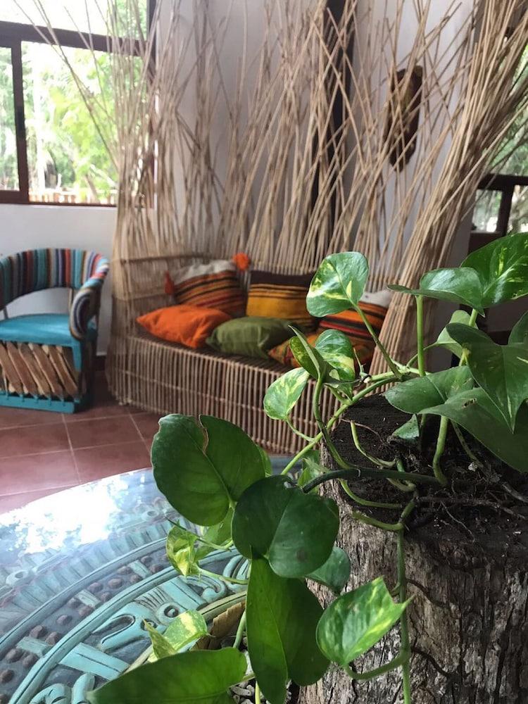 Ecovergel Riviera Maya Boutique Hotel