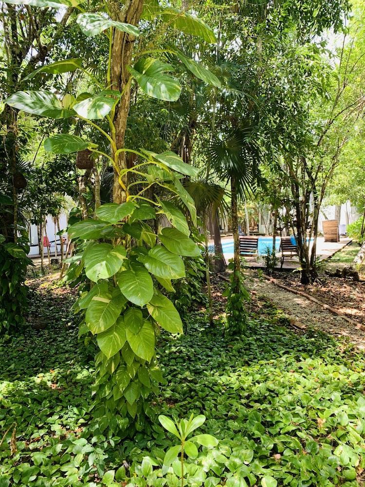 Ecovergel Riviera Maya Boutique