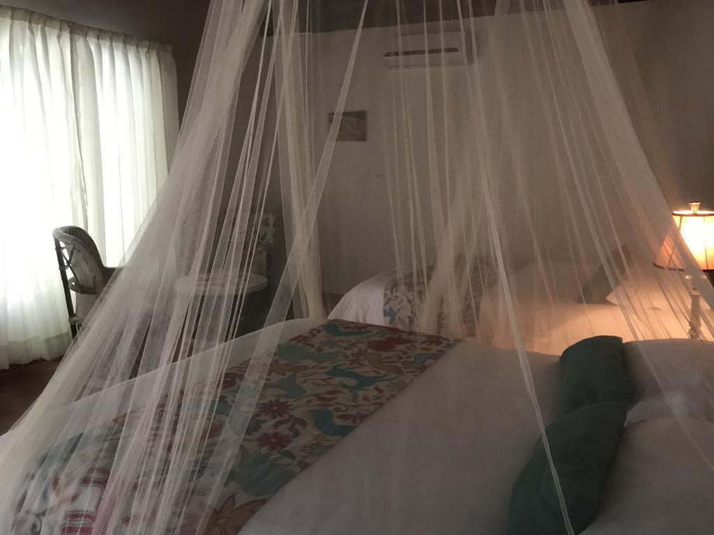 Ecovergel Riviera Maya Boutique Hotel 3*