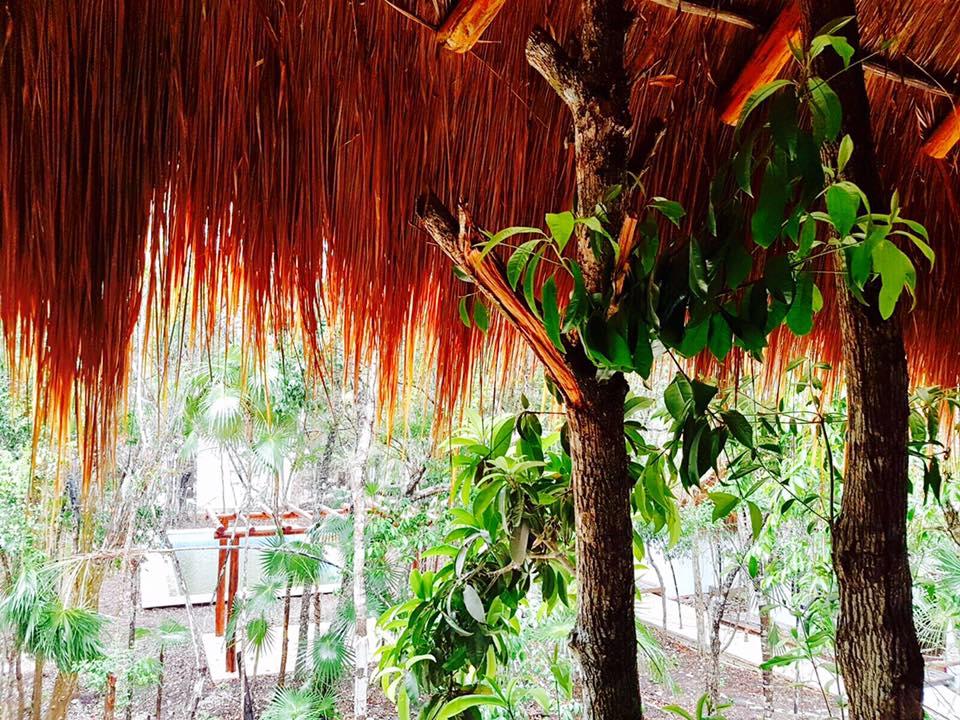 Ecovergel Riviera Maya Boutique