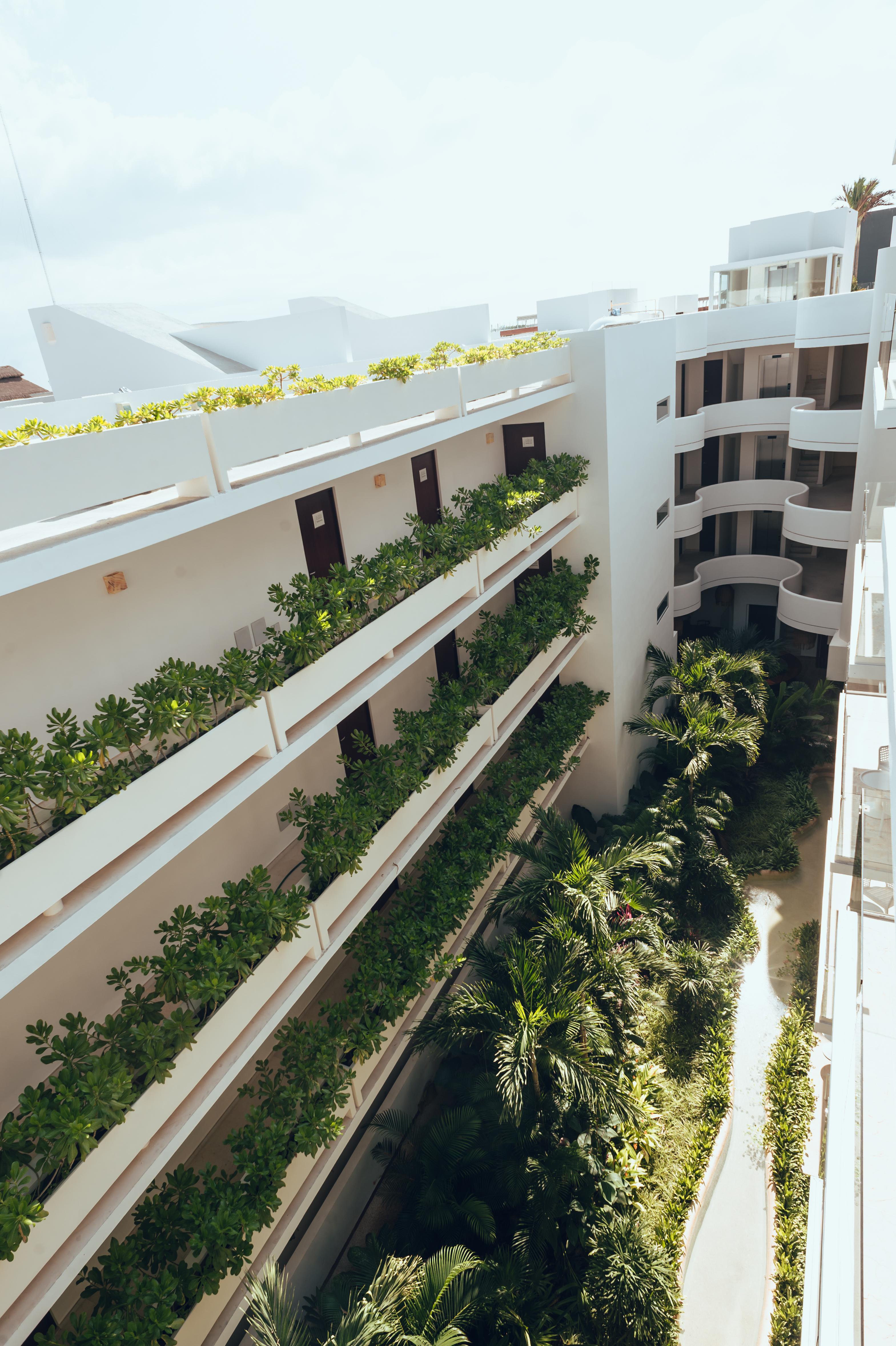 Hotel Antera Hotel&residences Playa del Carmen