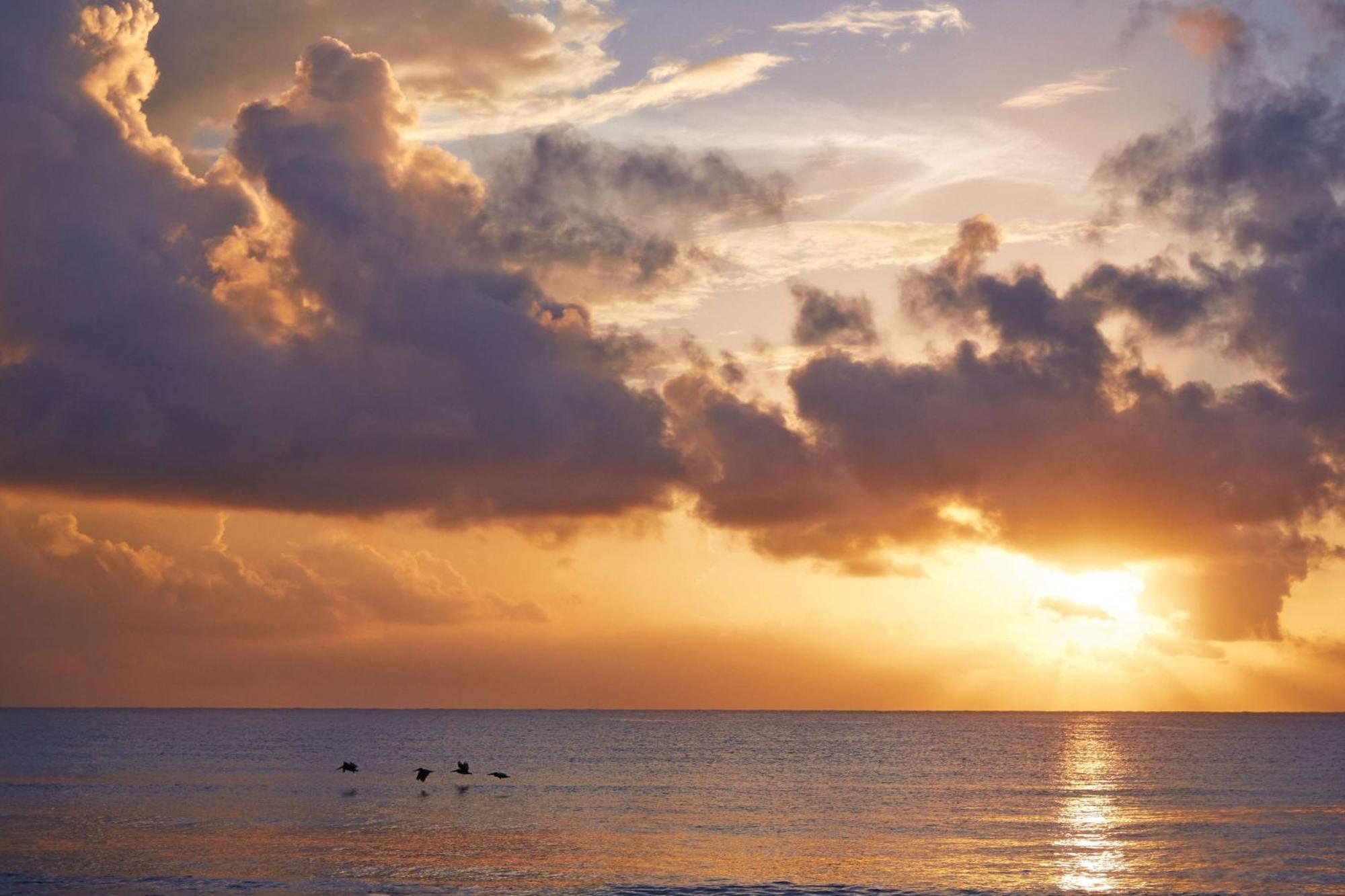 Viceroy Riviera Maya, A Luxury - Adults Only Resort Riviera Maya