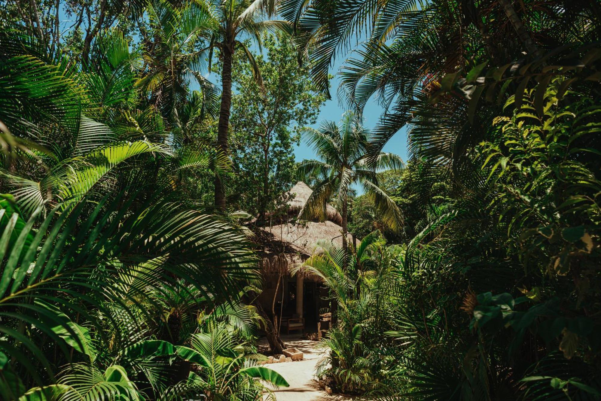 Resort Viceroy Riviera Maya, A Luxury - Adults Only Riviera Maya