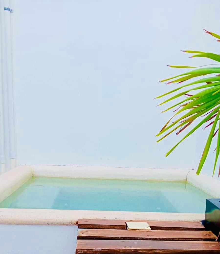 Maravilloso Pent House En 5th Avenida Nuevo En Plataforma Playa del Carmen
